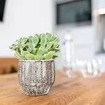 Rainer - Mittendrin Söll