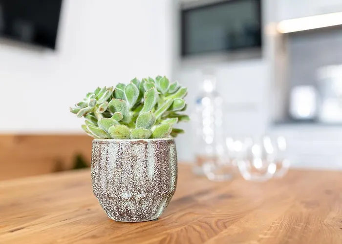 Rainer - Mittendrin ゼル