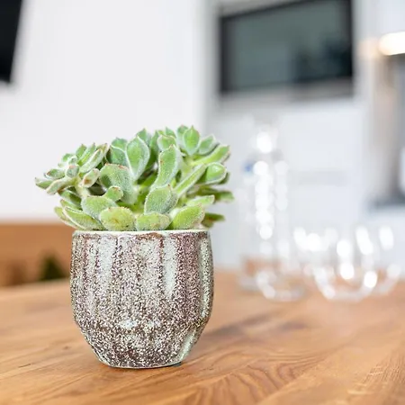 Rainer - Mittendrin 瑟尔