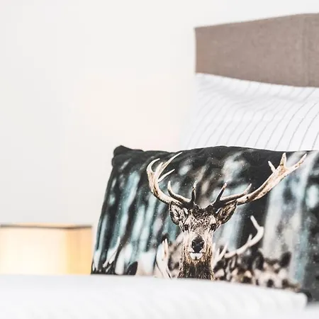 公寓 Rainer - Mittendrin